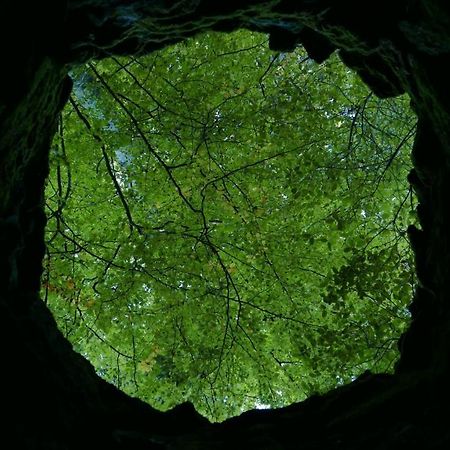 Espaço Origem Sintra Extérieur photo