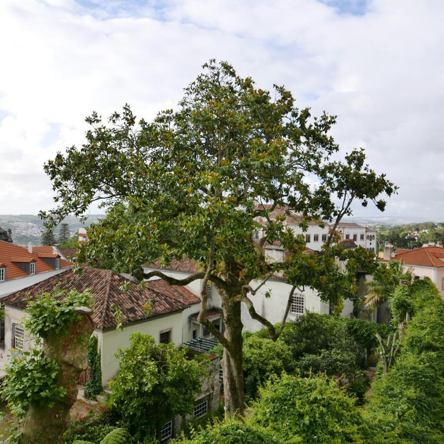 Espaço Origem Sintra Extérieur photo